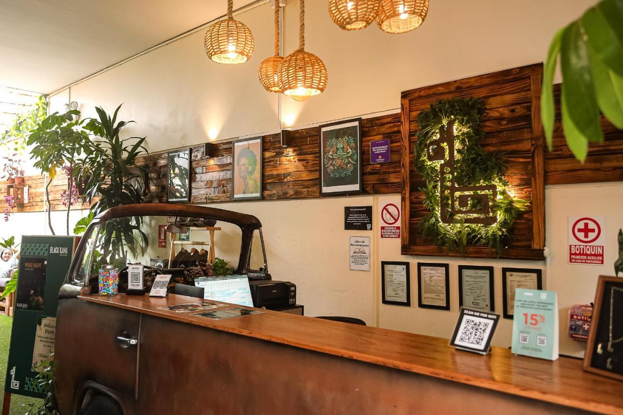 Black Llama Hostel Miraflores Lima Extérieur photo